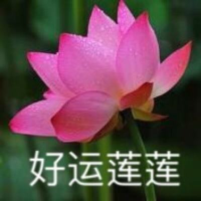 孤岛求生体验服下载